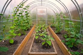 Greenhouse Material