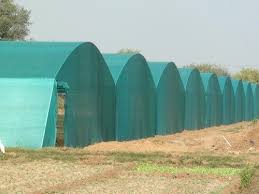Shade Net House